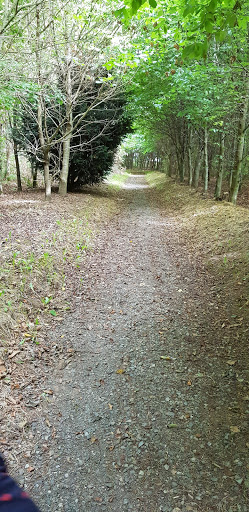 Parc forêt de Rospez - Thumbnail