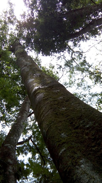 Photos of Karen Mogensen Nature Reserve