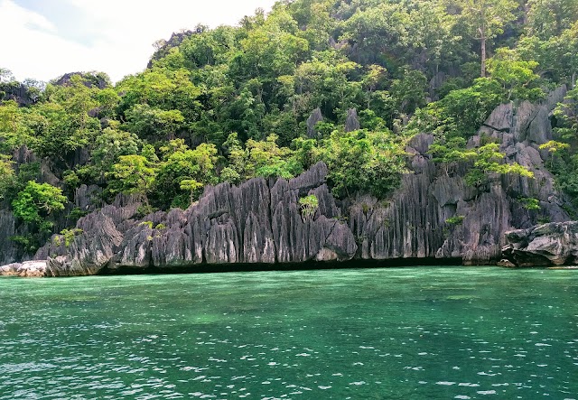 Smith Coral Garden