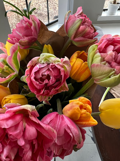 Denison Flowers - Visual