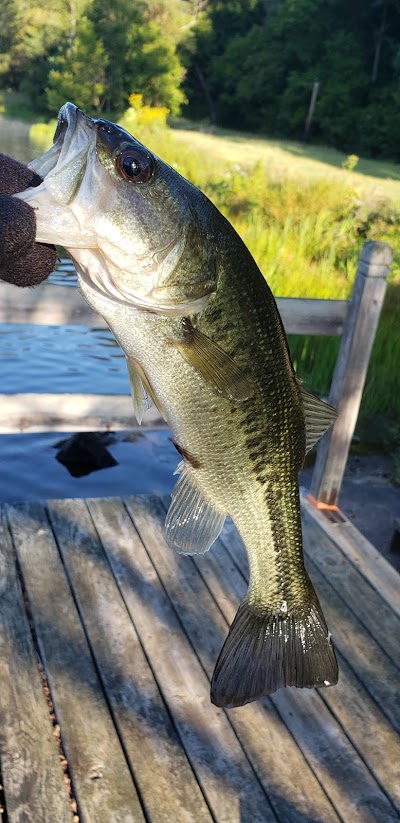 Timber Ridge Lake