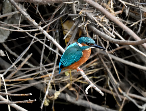 River Ure - Visual