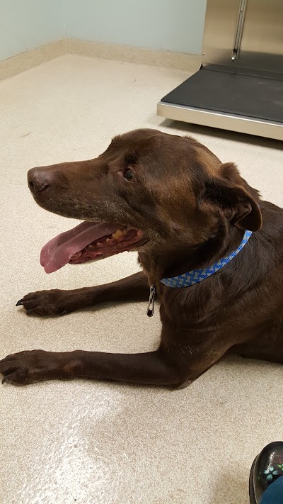 Photos of Milford Veterinary Hospital