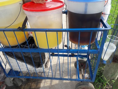 Photos of Alojamiento Cambodromo