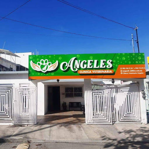 Clinica Veterinaria Angeles