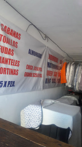Express Hernández - Visual