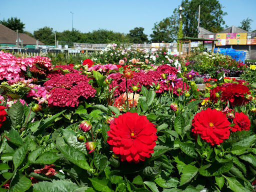site_photo2