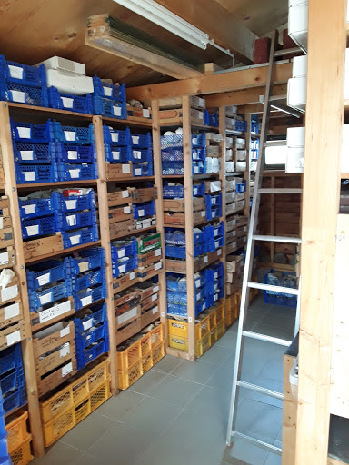 Privatmuseum M. & M. Sendelbach - Thumbnail