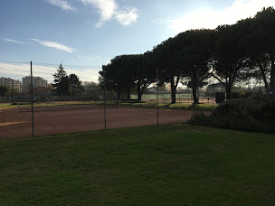 Photo n°18 de US DAX Tennis - Padel à Dax (Club de tennis)