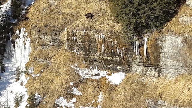 Cascade du Moulin du Saut