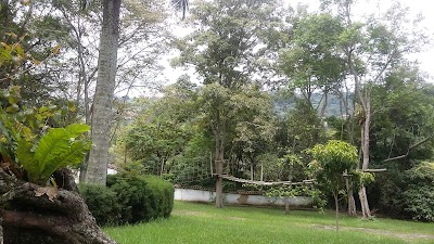 Photos of Club el Bosque