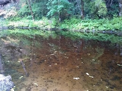 Evens Creek