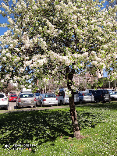 Parc de La Massana