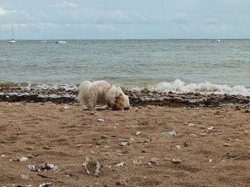 Plage de Trébézy