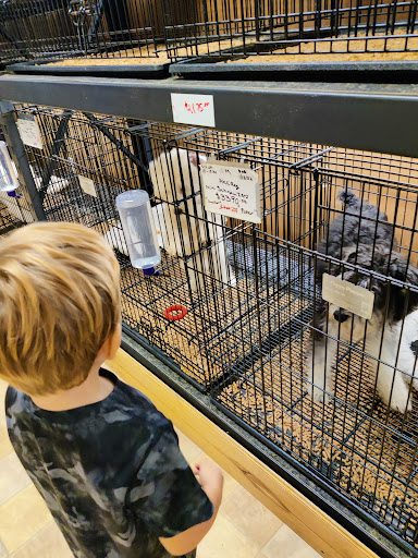 Little Paws Dog Shop LLC