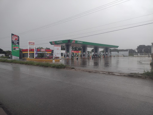 Grupo Gasolinero Mayali