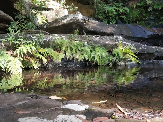 Royal National Park