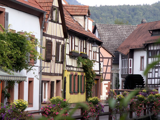 Naturheilpraxis Lebensfluss und Zahnärztin