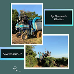 Photo n°6 de Cave Coopérative de Vinification à Montblanc (Cave à vins)