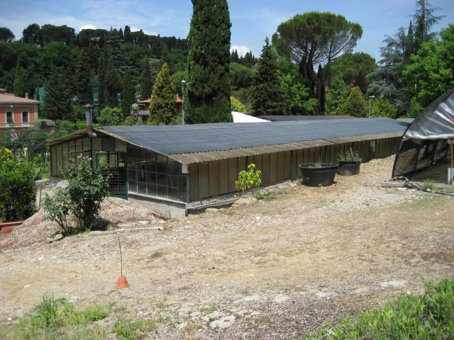 Le Lune ristorante nel vivaio