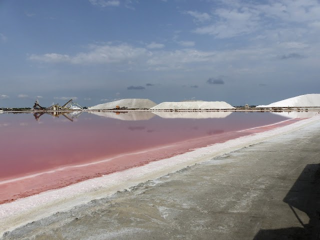 Compagnie des salins du midi Le perrier