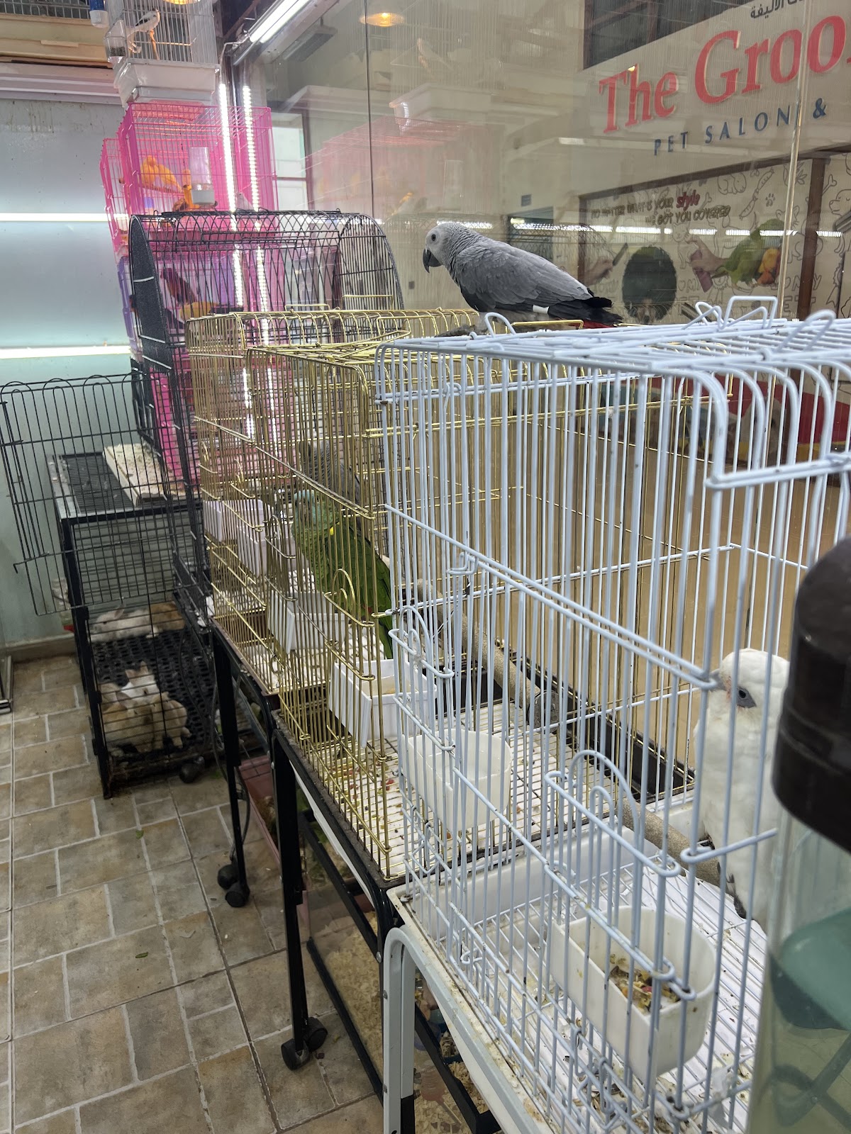 ZONE TIME BEAUTY BIRDS LLC