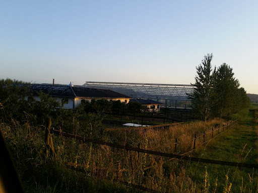 Arvidssons i Fjärås AB Gallery - Sweden