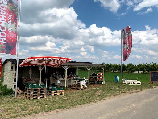 Obsthof Hochhaus - Saisonstand