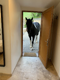 Photo n°28 de Le bastidon Salernes à Salernes (Gîte)