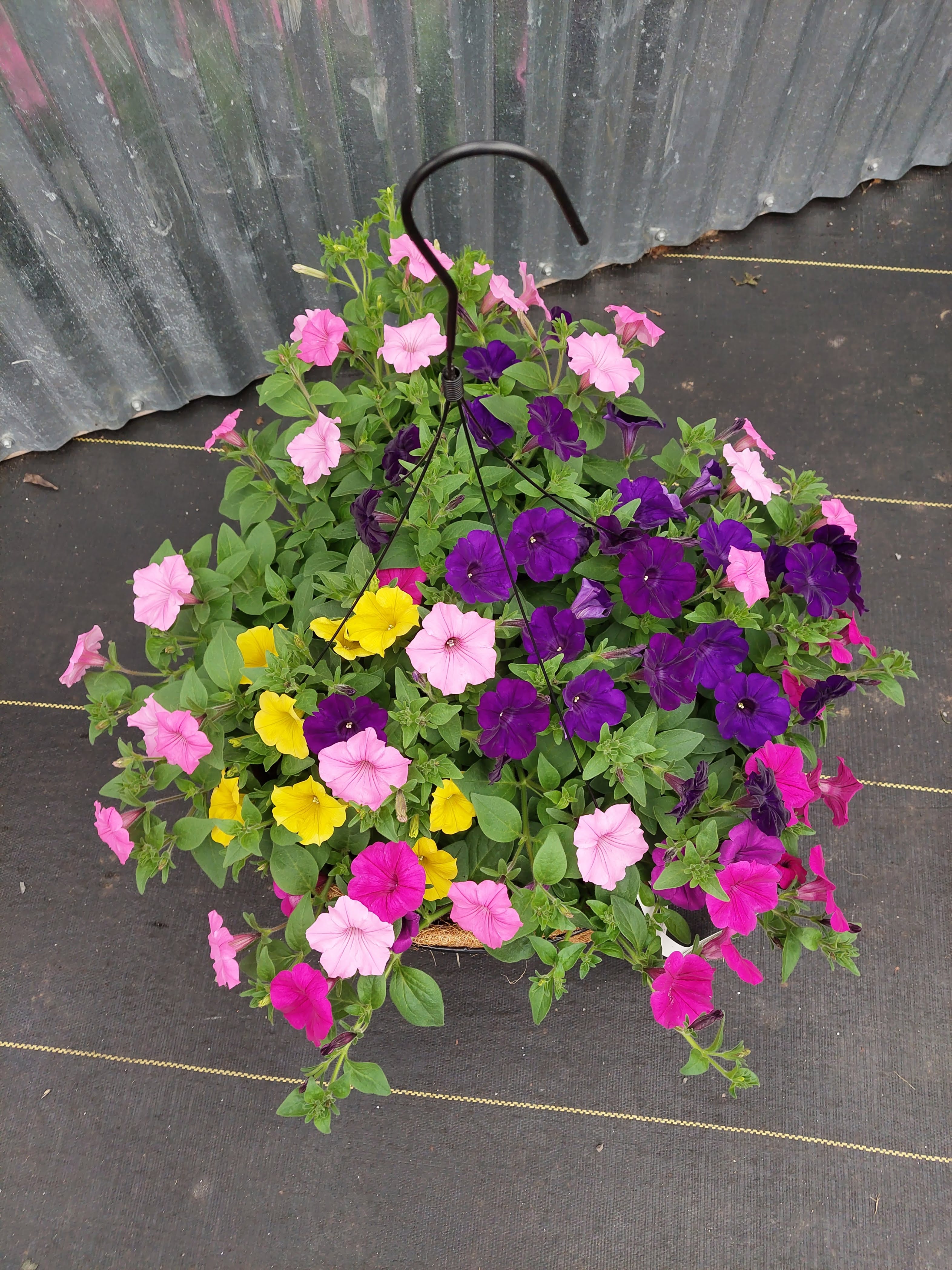 Sunny Acres Greenhouse LLC
