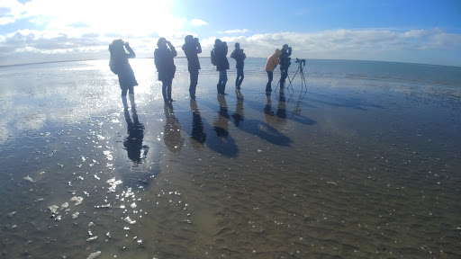 Maxim Guide en Baie Somme - Thumbnail