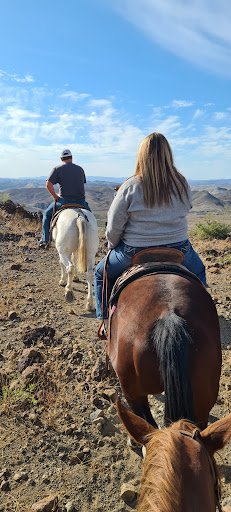 Big Bend Stables - Visual