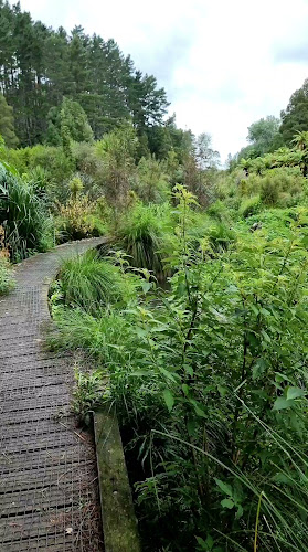 Reviews of Tamahere Reserve in Hamilton - Other