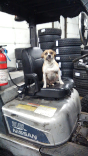 Service Tire Truck Center | Commercial Truck Tires at Capitol Heights, Maryland - Thumbnail