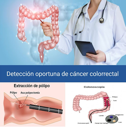 Dr. Tomas H. Méndez Gutiérrez - Thumbnail