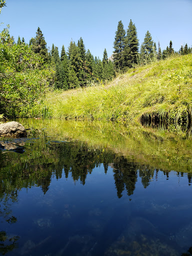 Kelty Meadow Campground - Office - Thumbnail