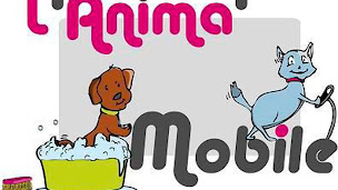 Photo n°16 de L'Anima'Mobile à Bacilly (Dresseur d'animaux de compagnie)