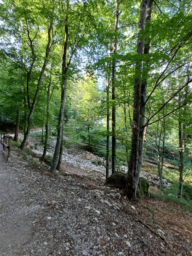 Panoramica della val di Non Logo