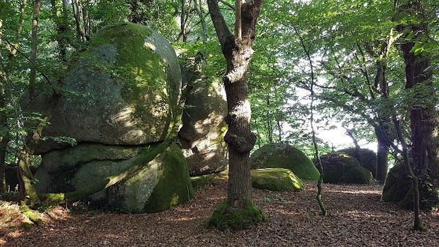 De La Chaire des Druides GAEC