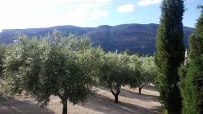 Photos of Casas Rurales El Olivar Yeste