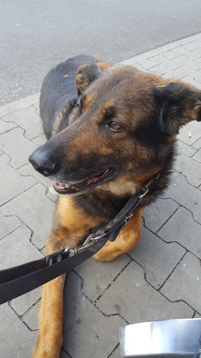 Photos of Veterinary practice Dr. med. Vet. Heiko Radermacher