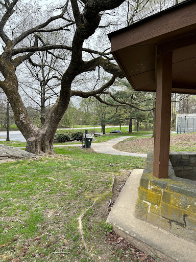 Greenwood Local Park - Thumbnail