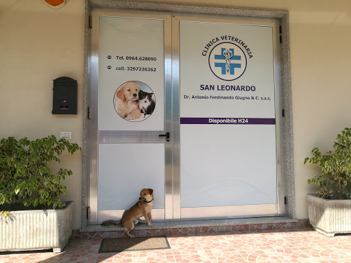 Clinica Veterinaria San Leonardo - Thumbnail