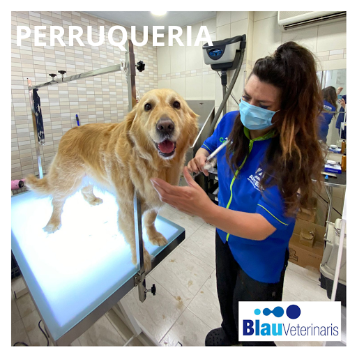 Blau Veterinaris Canet de Mar
