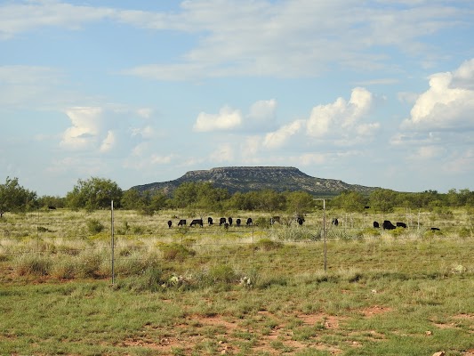 Snyder - Image 3