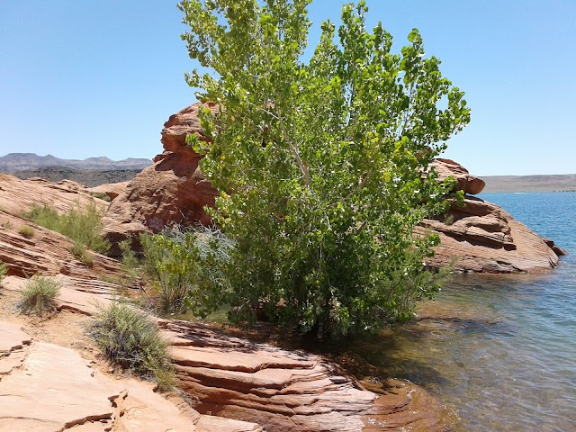 Sand Hollow State Park