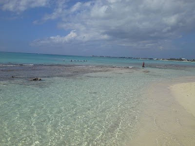 Photos of TAKI BACH