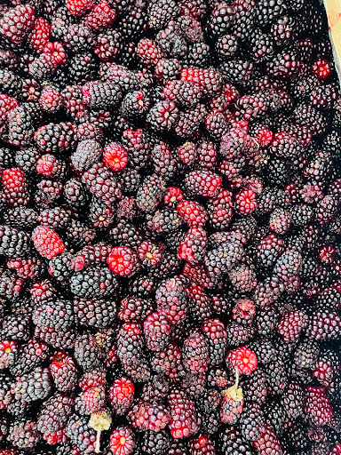 Mernda fresh- Fruit & Veg Gallery - Australia