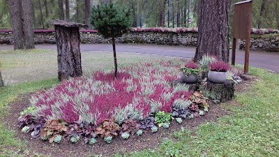 Photos of Waldfriedhof Davos