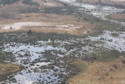 Photos of Aeroporto de Maun (MUB)